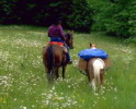 rutas a caballo asturias,rutas a caballo en asturias picos de europa.hipico,hipica